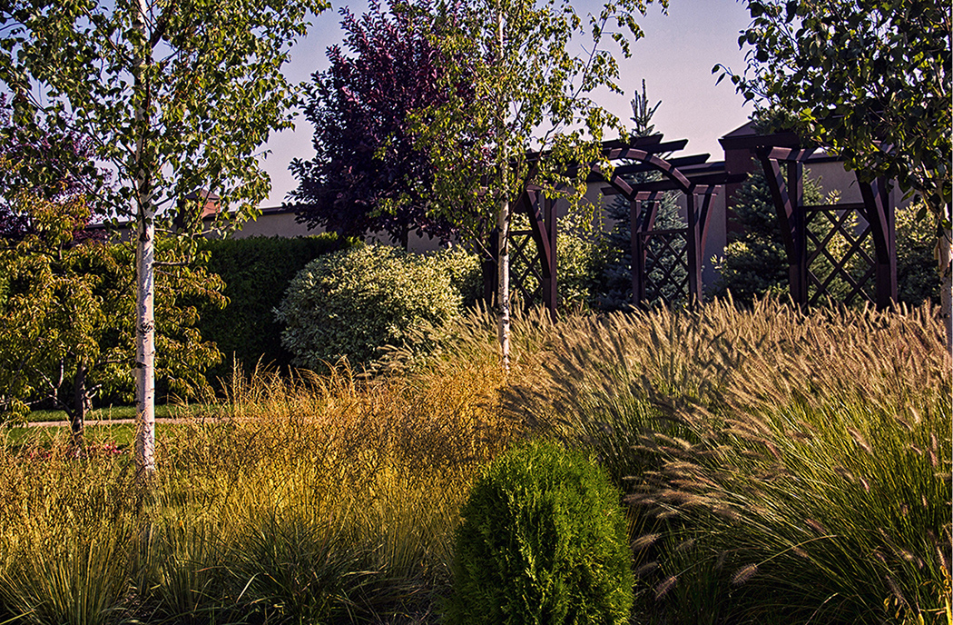 5-ELENAZHUKOVA & YEVHENOBOLIENTSEV_landscape studio (5) Вышгород_Новоселки
